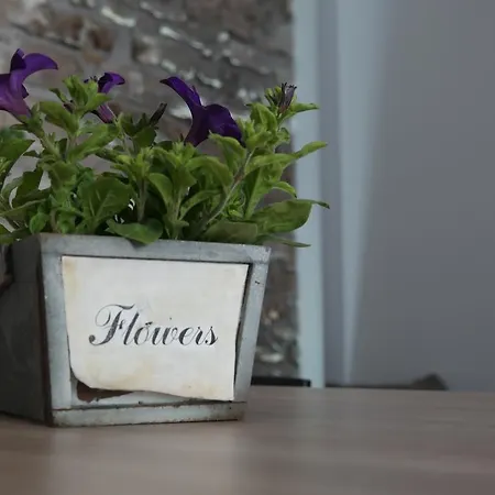 Apartmán Hedona Pula