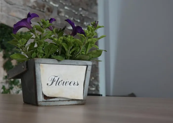 Apartmán Hedona Pula